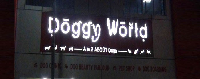 Best Dog Shop