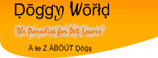 Doggy World News and Media